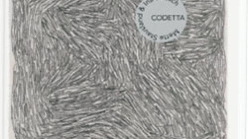 Codetta_cover_art_MS-1